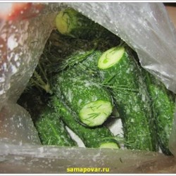 Малосольные огурцы в пакете