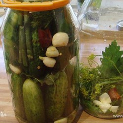 солено броженые