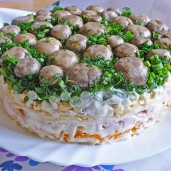 Грибная поляна