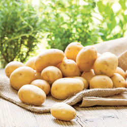 ГУРМАН. За честь мундира — рецепты блюд из картофеля