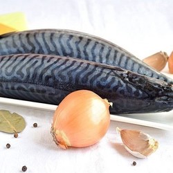 Скумбрия маринованная