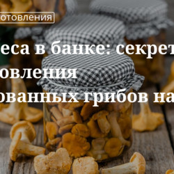 Грибы маринованные на зиму