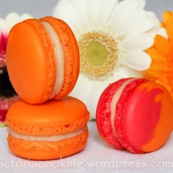 Грейпфрутовые макарон / Macaron pamplemousse