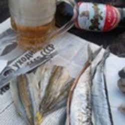 Вяленая рыба в электросушилке