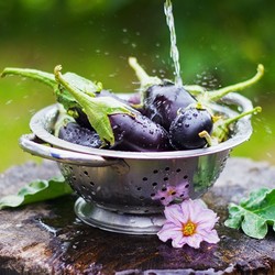 Котлеты из баклажанов вкуснее мясных! Рецепт котлет