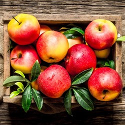 Необычные блюда из яблок: сыр, рататуй и пицца