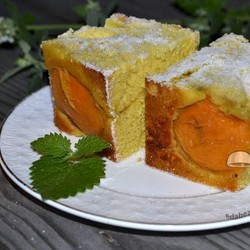 Шарлотка с абрикосами. Мягкая, нежная — она объединит вашу семью за вечерним чаепитием!