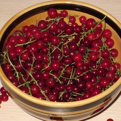 Что приготовить из красной смородины: рецепты на зиму