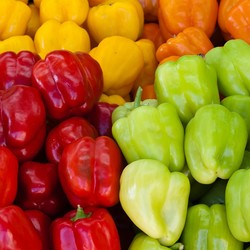 Подборка способов заготовки болгарского перца на зиму