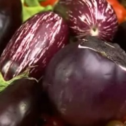 Баклажаны на зиму — 5 лучших рецептов