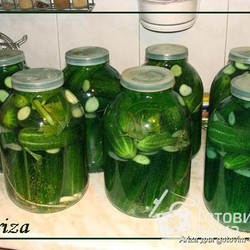 Солёные огурцы (холодным способом) - пошаговый рецепт с фото на Готовим дома