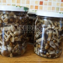 Маринованные опята «Малыши в банке»