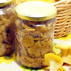 Маринованные лисички