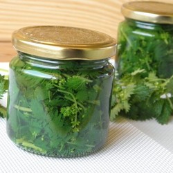 Крапива консервированная