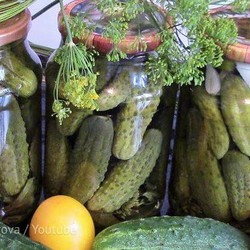 Хрустящие огурчики на зиму