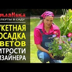 Невероятно обильное цветение и отсутствие сорняков. Петуния и годеция. Букетная посадка. 0+