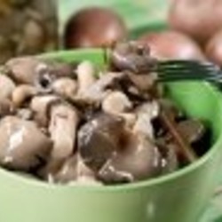 Маринованные вешенки за сутки - пошаговый рецепт с фото на Повар.ру