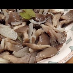 Маринованные вешенки