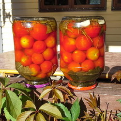 ПОМИДОРЫ «ВОЛШЕБНЫЕ»