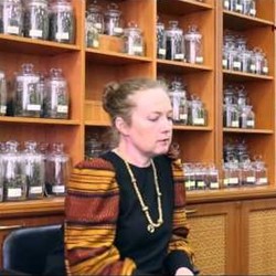 Травяной чай