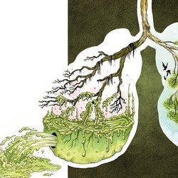 Очищаем организм от паразитов и уменьшаем отложения жира.