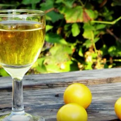 настойка из алычи на водке (самогоне, спирте)