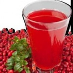 калиновая настойка на водке, спирте или самогоне