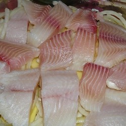 25 рецептов из рыбы: