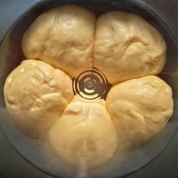 DAMPFNUDEL MIT VANILLESOSSE