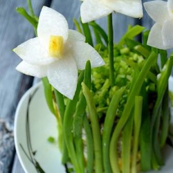 Салат «Букет нарциссов»