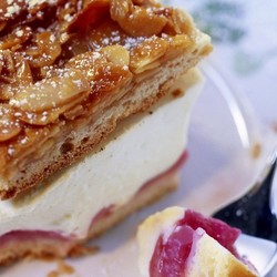 Rhabarber-Bienenstich