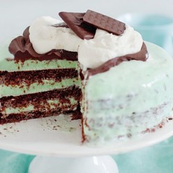 Schokoladentorte mit Minzcreme