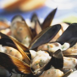 Miesmuscheln mit Sahne-Knoblauch-Creme