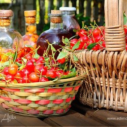 Хмельные радости: семь рецептов домашних настоек из фруктов и ягод