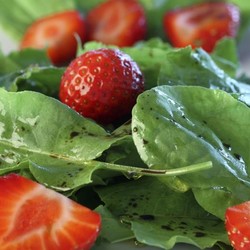 Sauerampfer-Erdbeer-Salat