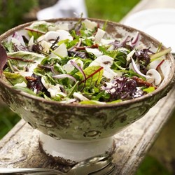 Rucola-Champignon-Salat