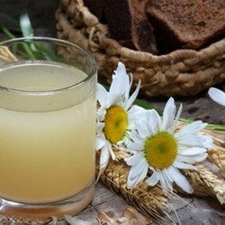 Квас из овса