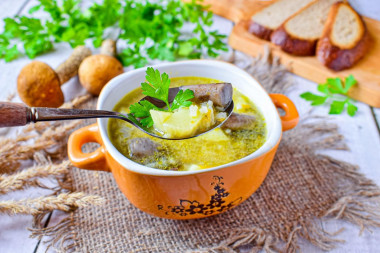 Рецепт супа с подберезовиками и подосиновиками