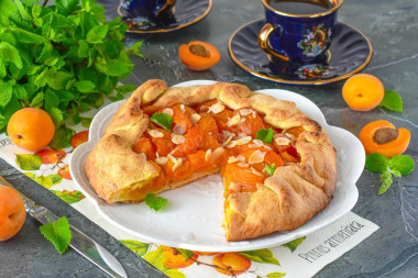 Домашняя галета с абрикосами