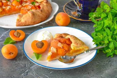 Домашняя галета с абрикосами