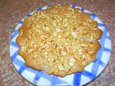 Шарлотка с какао и яблоками в микроволновке
