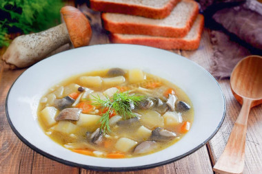 Грибной суп из лесных грибов