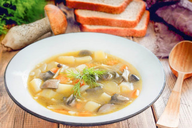 Грибной суп из лесных грибов