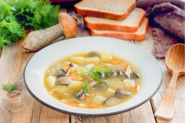 Грибной суп из лесных грибов