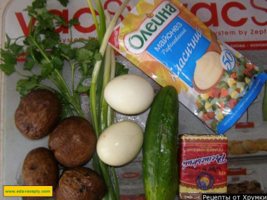 Рецепт - Салат с плавленым сырком и малосольным огурцом - Шаг 1 - Этот простой кулинарный рецепт неплохого и, что самое главное, быстрого салатика я отыскала в женском журнале в разделе, посвященному всевозможным салатам. Именно из этого источника я узнала, как сделать салат с плавлеными сырками и солеными огурцами. Делюсь рецептом с вами. Нам понадобятся продукты из списка. Огурцы берите малосольные, хрустящие. Если шкурка у них нежная, не срезайте ее.