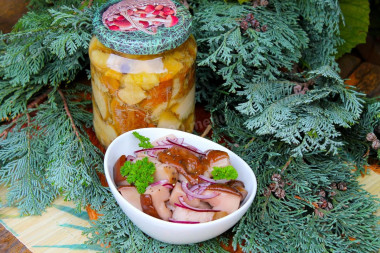 Засолка белых грибов на зиму