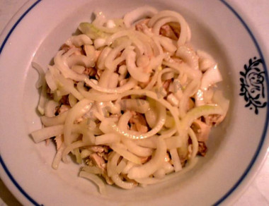 Рецепт - Салат Обжорка маринованные огурцы курица - Шаг 9 -  Сверху курицы положим лук.