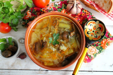 Щи с грибами и свежей капустой