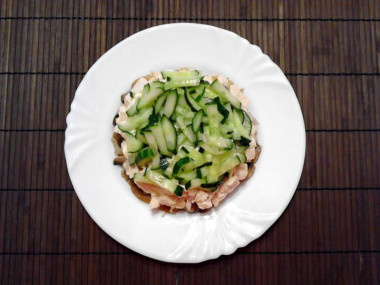 Рецепт - Салат Восторг с малосольным огурцом - Шаг 9 -  Поверх курицы положим малосольный огурец. Смазываем майонезом.