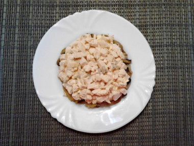 Рецепт - Салат Восторг с малосольным огурцом - Шаг 8 -  Сверху кладем нарезанное куриное филе. Смазываем майонезом.